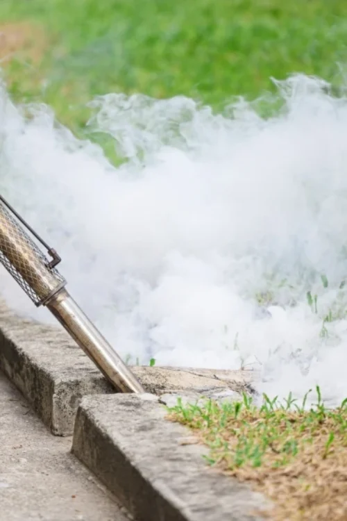 Outdoor Mosquito Repellent Fogger Sprayer